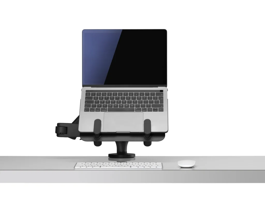 cbs ollin black white - LoyalBrand B2B